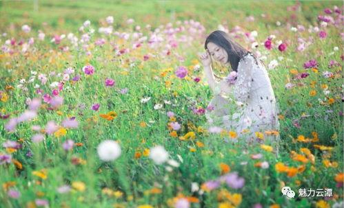 春暖花开 在线观看,在线赏花之旅